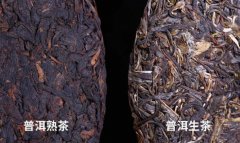 普洱生茶和熟茶的区别（