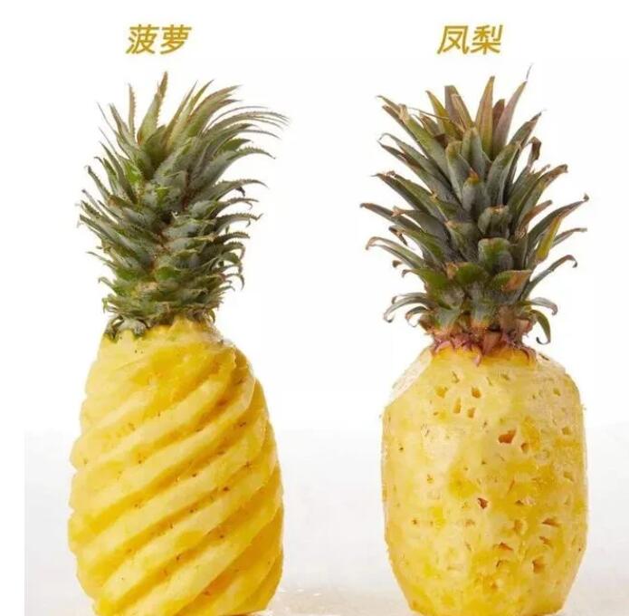凤梨和菠萝1
