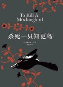 《杀死一只知更鸟》讲的是什么故事